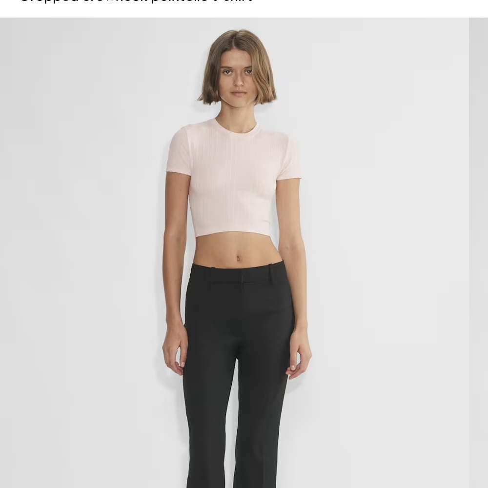Aritzia Pointella Seamless Willow Cropped Top